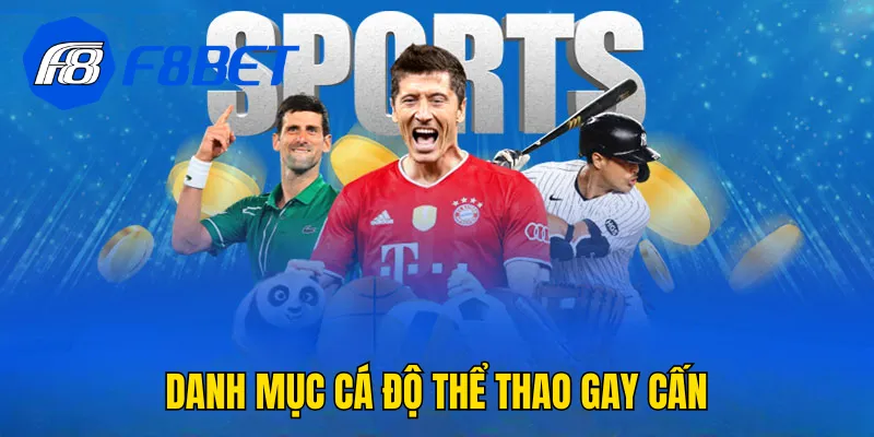 Danh mục cá độ thể thao gay cấn