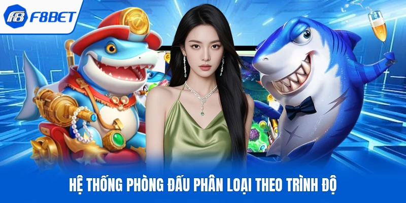 Hệ thống phòng đấu phân loại theo trình độ