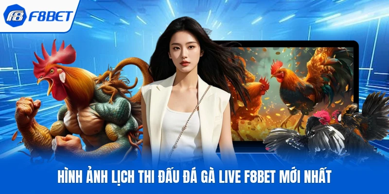 Hình ảnh lịch thi đấu đá gà live F8Bet mới nhất