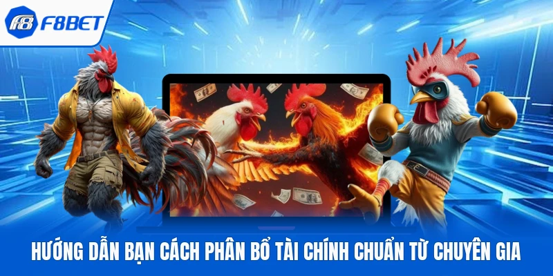 Hướng dẫn bạn cách phân bổ tài chính chuẩn từ chuyên gia