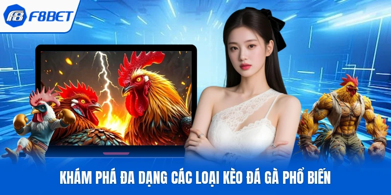 Khám phá đa dạng các loại kèo đá gà phổ biến