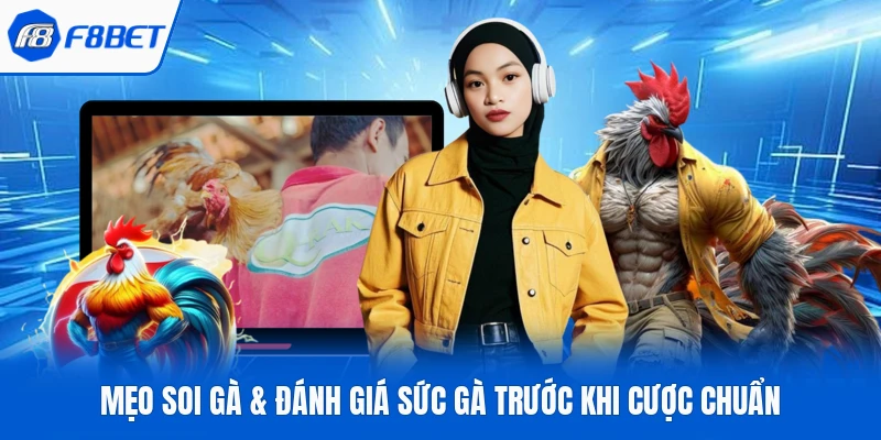 Mẹo soi gà & đánh giá sức gà trước khi cược chuẩn