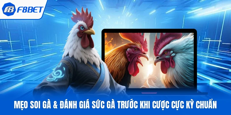 Mẹo Soi Gà & Đánh Giá Sức Gà Trước Khi Cược Cực Kỳ Chuẩn