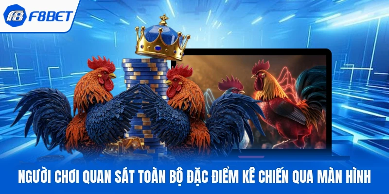 Người chơi quan sát toàn bộ đặc điểm kê chiến qua màn hình