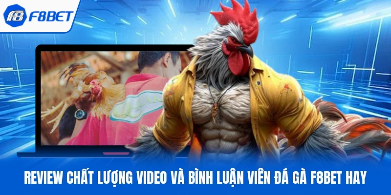 Review Chất Lượng Video Và Bình Luận Viên Đá Gà F8Bet Hay