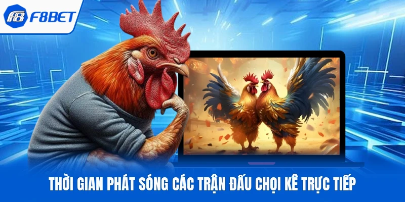 Thời gian phát sóng các trận đấu chọi kê trực tiếp