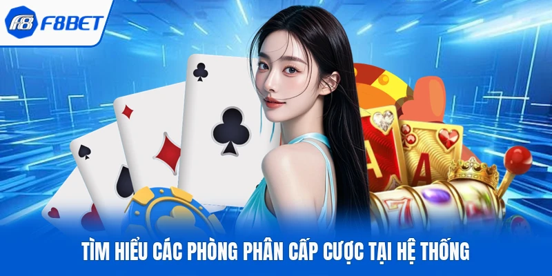 Tìm hiểu các phòng phân cấp cược tại hệ thống